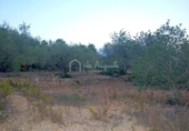 Terreny no urbanitzable en venda a la España, el Perelló, ref.: TR112859 foto