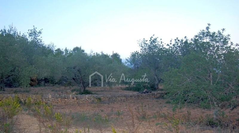 Tarragona - el Perelló - 22303m2