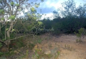 Terreny no urbanitzable en venda a la España, el Perelló, ref.: TR112859 foto