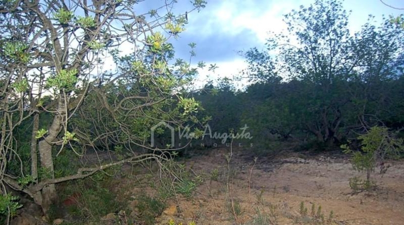 Tarragona - el Perelló - 22303m2