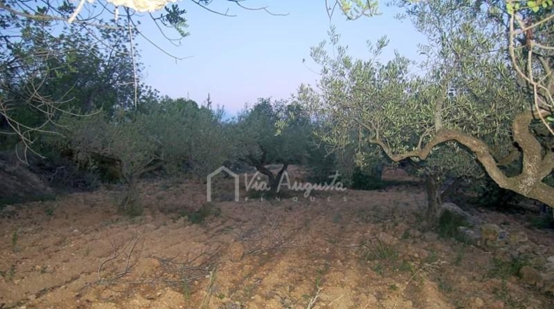 Tarragona - el Perelló - 22303m2