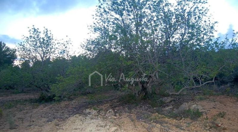 Tarragona - el Perelló - 22303m2