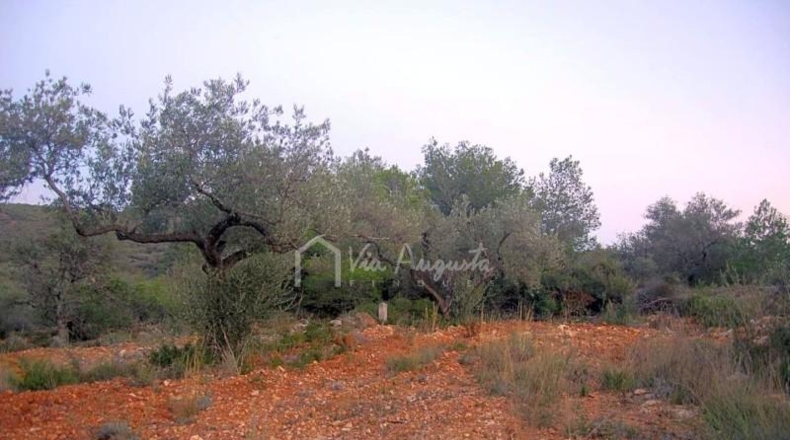 Tarragona - el Perelló - 22303m2