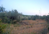 Terreny no urbanitzable en venda a la España, el Perelló, ref.: TR112859 foto