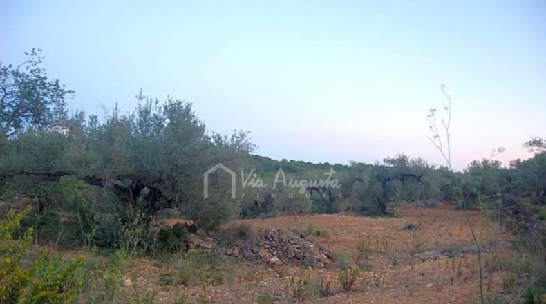 Tarragona - el Perelló - 22303m2