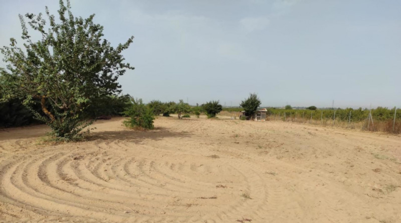 Badajoz - Mèrida - 4050m2