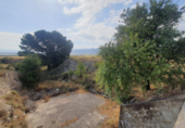 Non-developable land for sale on España, Salinas, ref: TR118016 photo