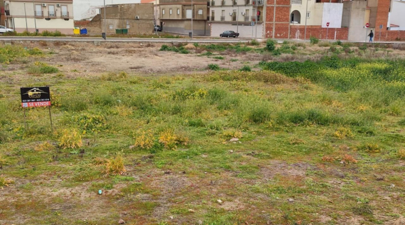 Badajoz - Calamonte - 420m2