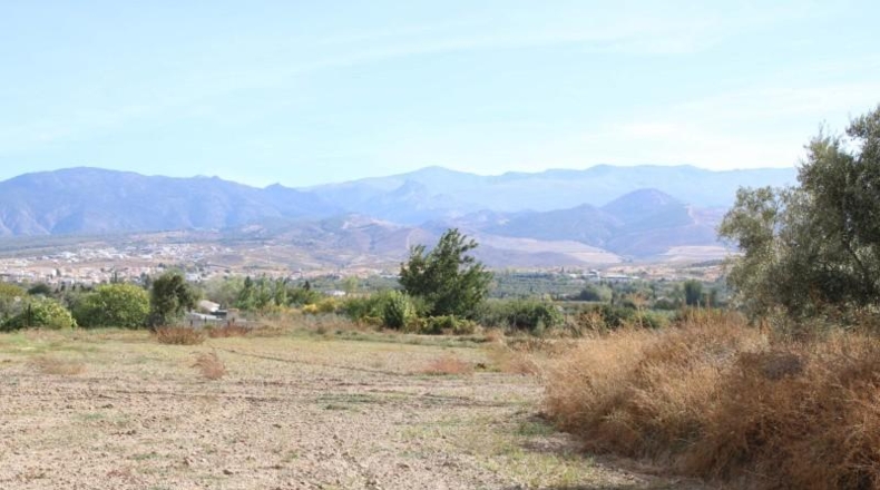 Granada - Villa de Otura - 2642m2