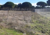 Parcela urbanizable en venta en la España, Aldeamayor de San Martín, ref: TR117173 foto