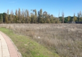 Parcela urbanizable en venta en la España, Aldeamayor de San Martín, ref: TR117173 foto