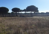 Parcela urbanizable en venta en la España, Aldeamayor de San Martín, ref: TR117173 foto