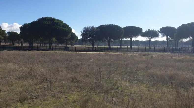 Valladolid - Aldeamayor de San Martín - 1782m2