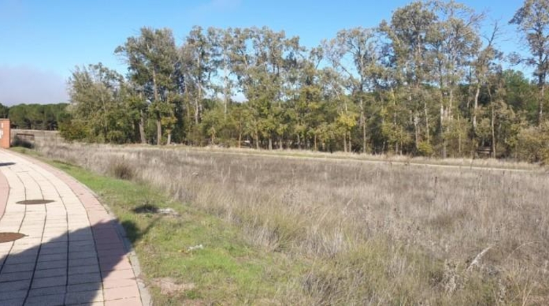 Valladolid - Aldeamayor de San Martín - 1782m2