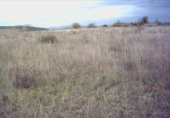 Terreny no urbanitzable en venda a la España, Ponferrada, ref.: TR114170 foto