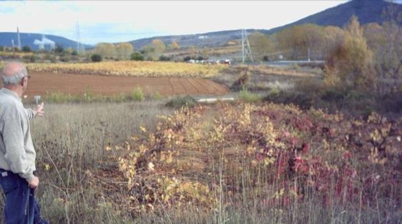 Leon - Ponferrada - 10000m2