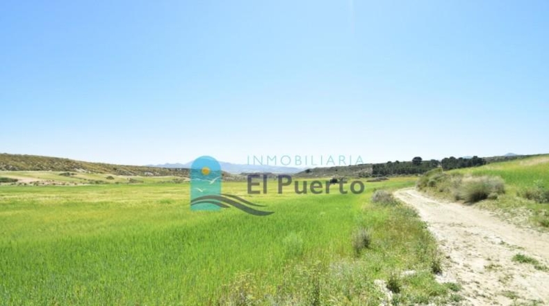 Múrcia - Mazarrón - 20000m2