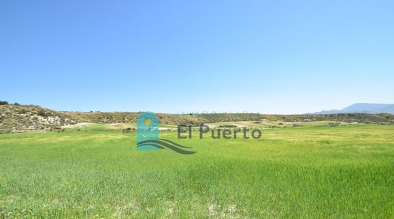 Múrcia - Mazarrón - 20000m2
