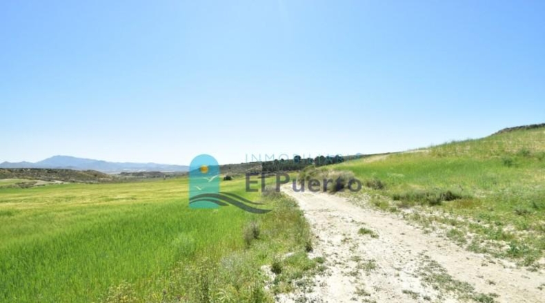 Múrcia - Mazarrón - 20000m2
