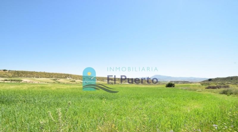 Múrcia - Mazarrón - 20000m2
