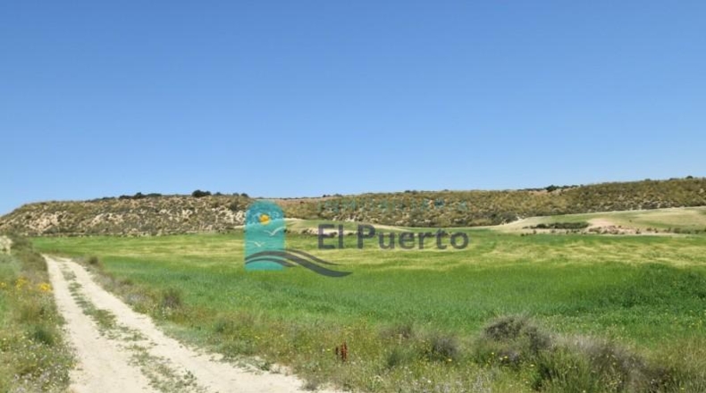 Múrcia - Mazarrón - 20000m2