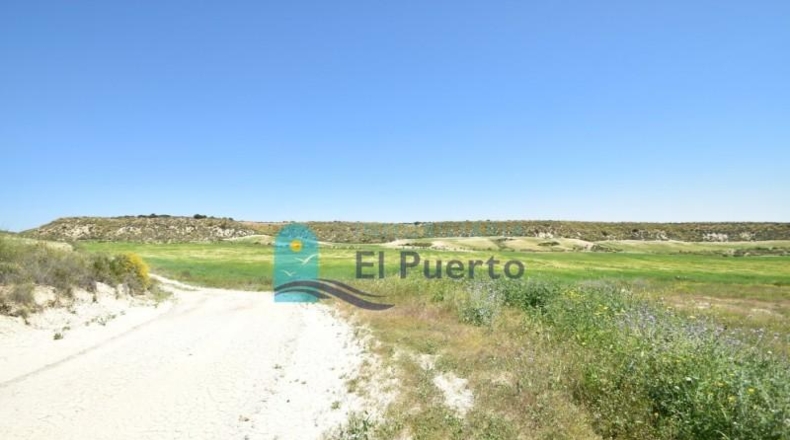Múrcia - Mazarrón - 20000m2