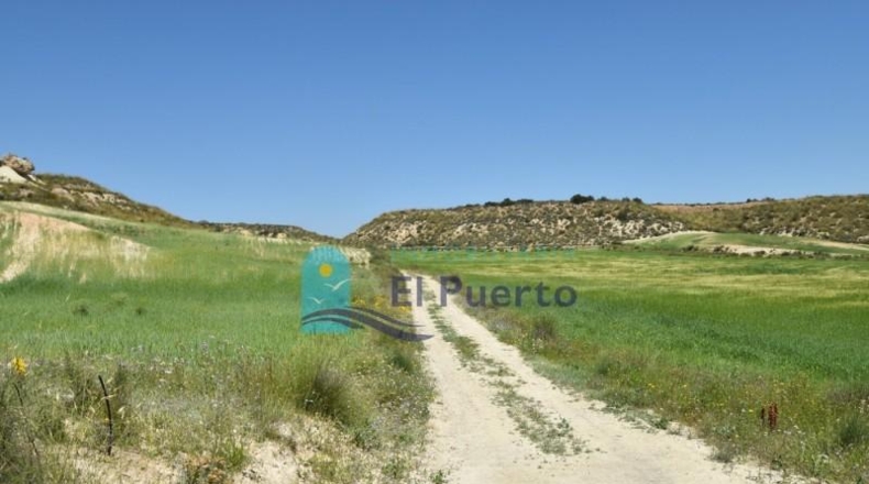Múrcia - Mazarrón - 20000m2