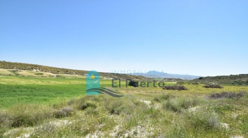 Múrcia - Mazarrón - 20000m2