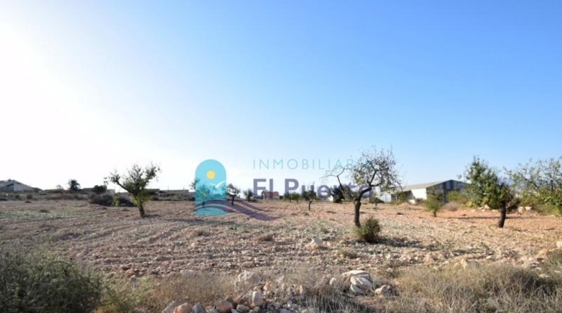 Múrcia - Fuente Álamo de Murcia - 5291m2
