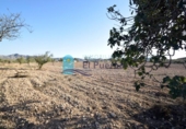 Terreny no urbanitzable en venda a la España, Fuente Álamo, ref.: TR121691 foto