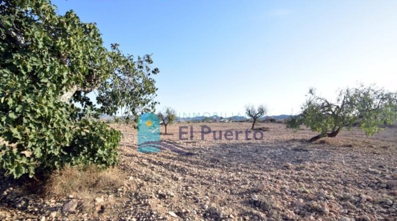 Múrcia - Fuente Álamo de Murcia - 5291m2