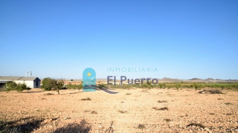 Múrcia - Fuente Álamo de Murcia - 5291m2