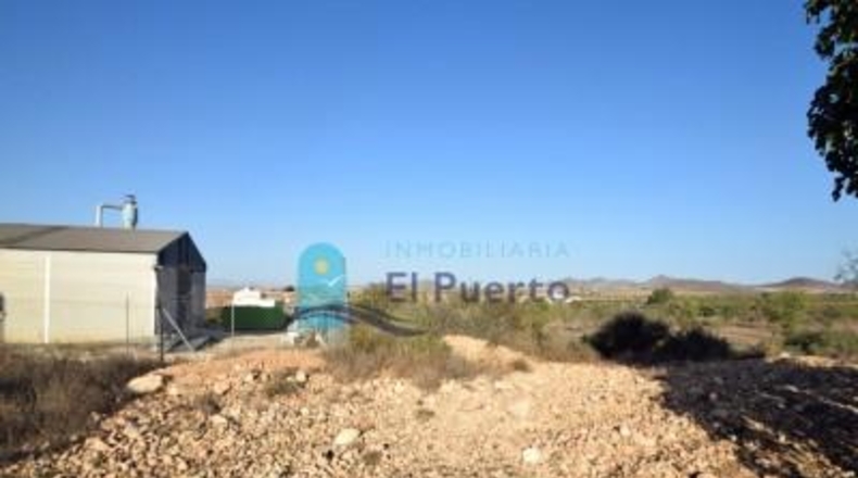 Múrcia - Fuente Álamo de Murcia - 5291m2