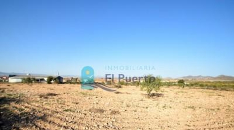 Múrcia - Fuente Álamo de Murcia - 5291m2
