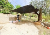 House with land for sale on España, Laroles, ref: TR294919 photo