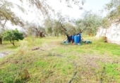 House with land for sale on España, Laroles, ref: TR294919 photo