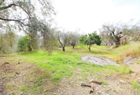 Laroles 4000&nbsp;m²