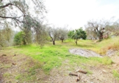 House with land for sale on España, Laroles, ref: TR294919 photo