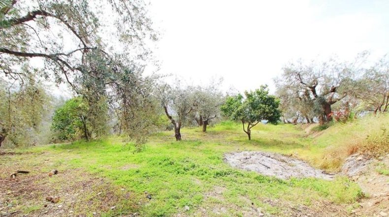 Granada - Granada - 4000m2