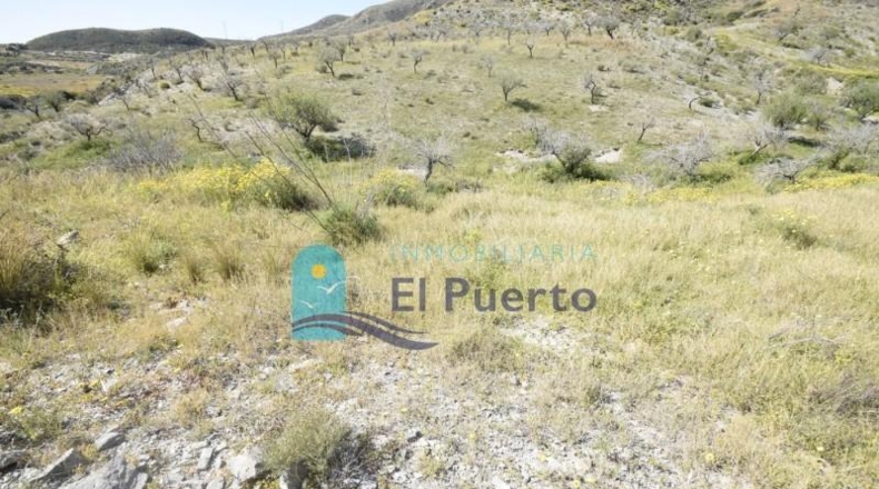 Múrcia - Mazarrón - 12537m2