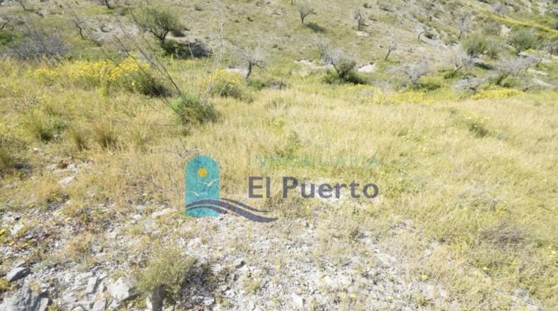 Múrcia - Mazarrón - 12537m2