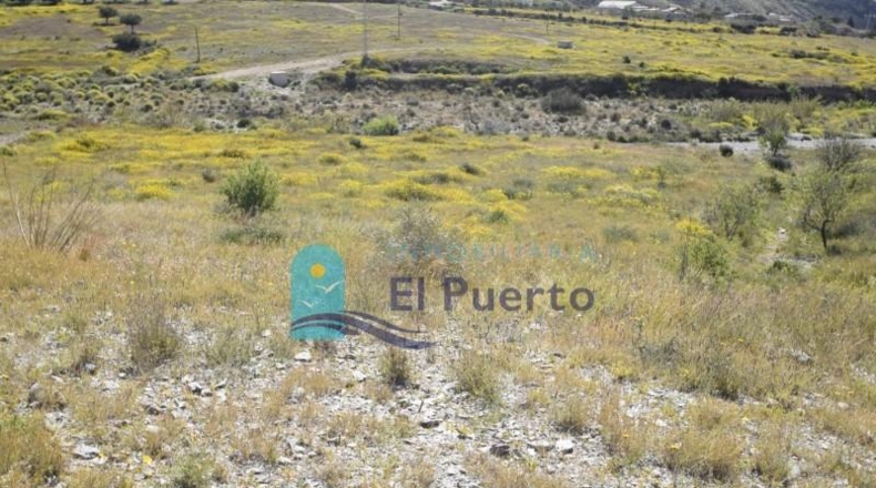 Múrcia - Mazarrón - 12537m2