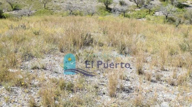 Múrcia - Mazarrón - 12537m2
