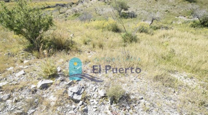 Múrcia - Mazarrón - 12537m2