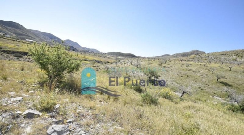 Múrcia - Mazarrón - 12537m2