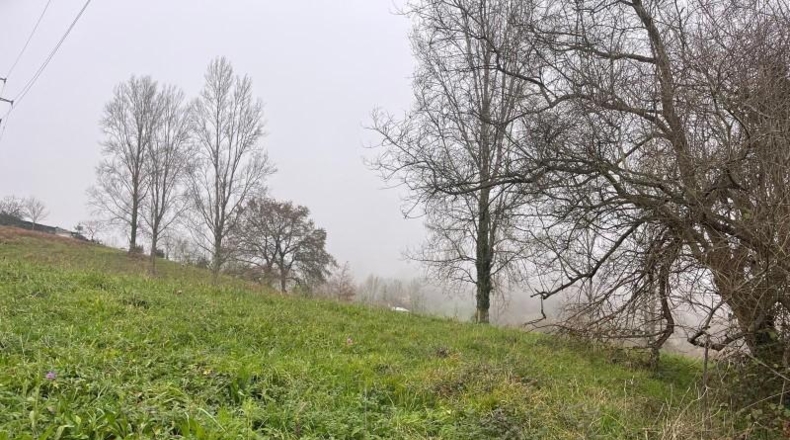 Asturias - Langreo - 2910m2