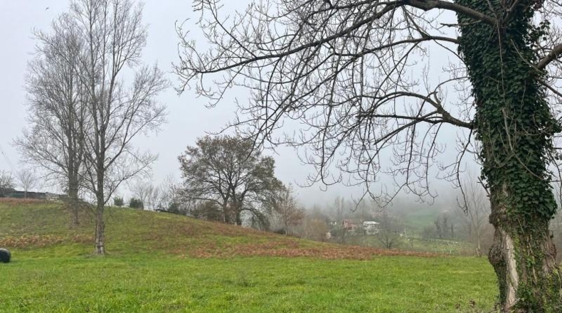 Asturias - Langreo - 2910m2