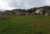 Terreny no urbanitzable en venda a la España, Sariegumuertu, ref.: TR205325 foto