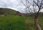 Terreny no urbanitzable en venda a la España, Sariegumuertu, ref.: TR205325 foto