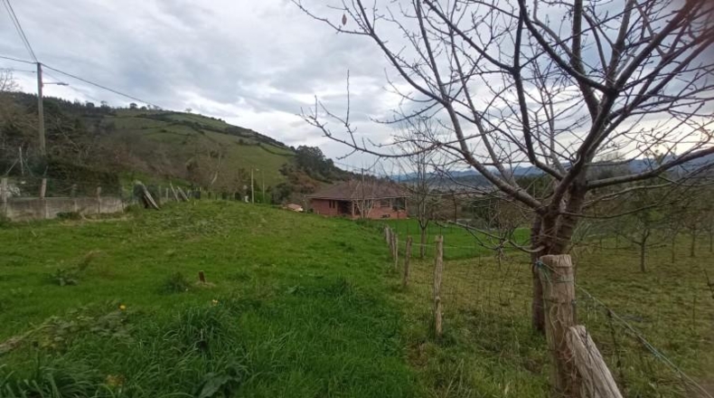 Asturias - Sariego - 1097m2